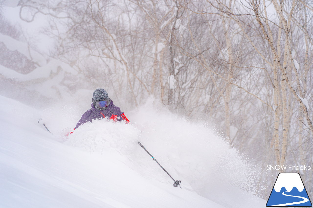 ニセコ東急グラン・ヒラフ｜積雪400cm！ニセコの『PowderSnow』を味わい尽くす、贅沢な時間♪